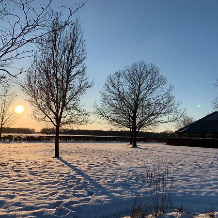 Karibu De Stallen Daarle Esterno foto