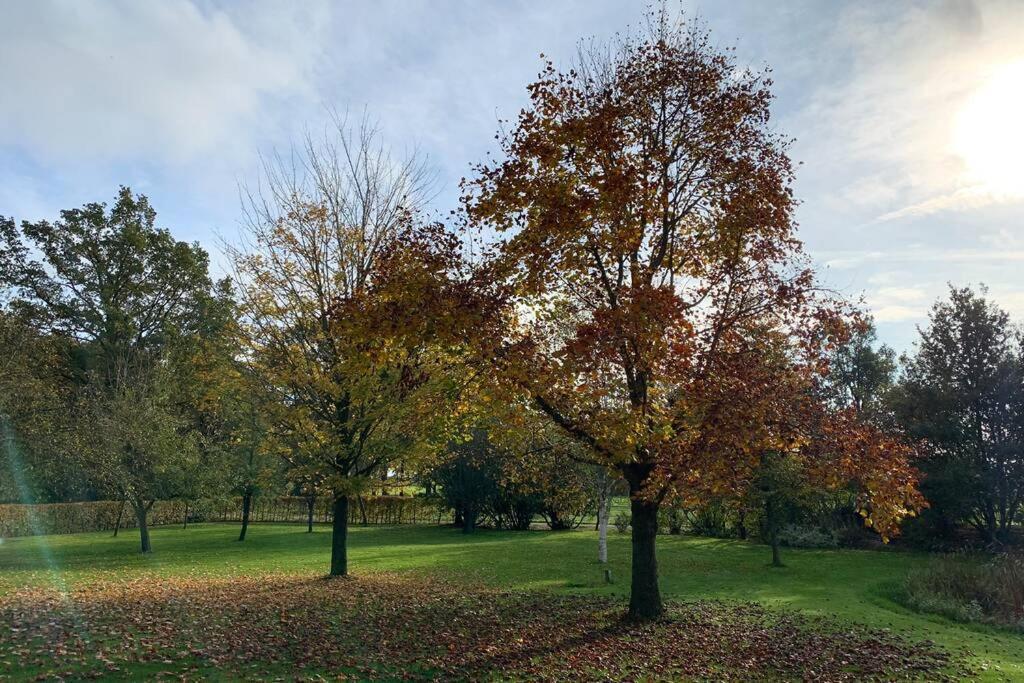 Karibu De Stallen Daarle Esterno foto